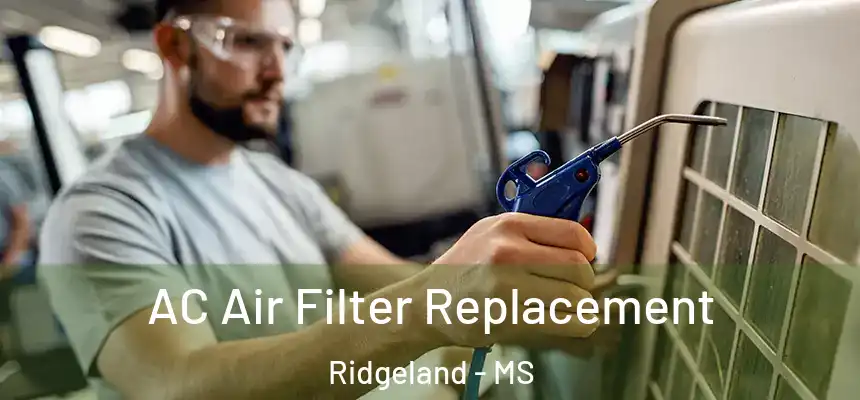 AC Air Filter Replacement Ridgeland - MS