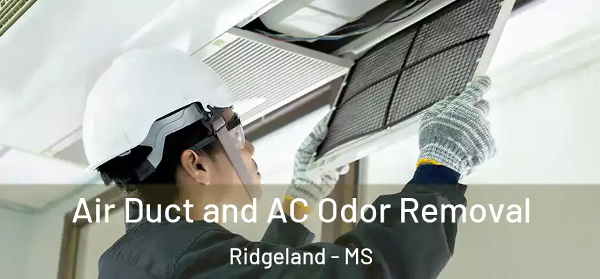 Air Duct and AC Odor Removal Ridgeland - MS