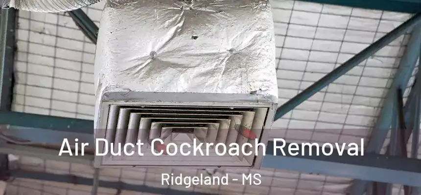 Air Duct Cockroach Removal Ridgeland - MS