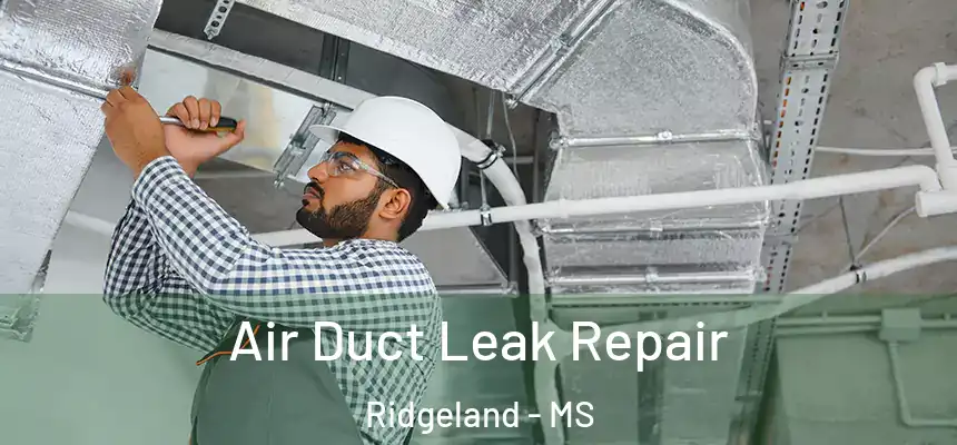 Air Duct Leak Repair Ridgeland - MS