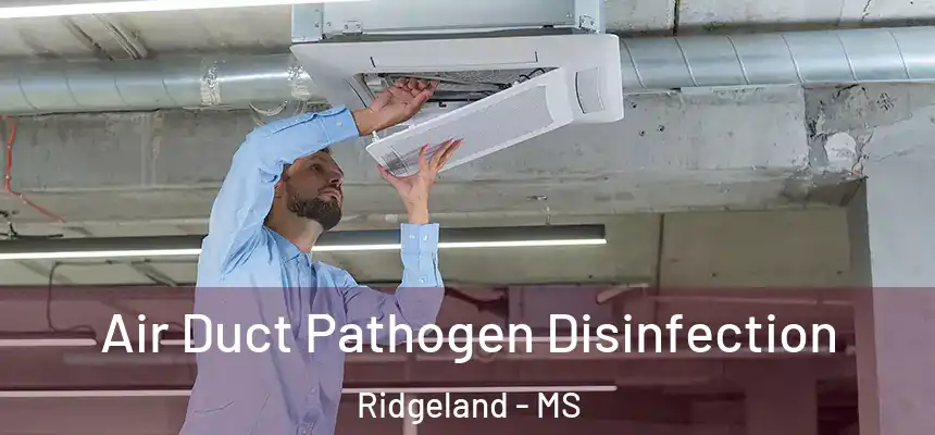  Air Duct Pathogen Disinfection Ridgeland - MS