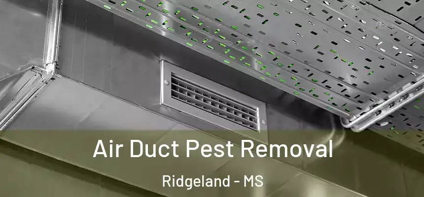 Air Duct Pest Removal Ridgeland - MS