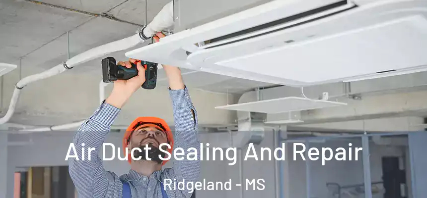  Air Duct Sealing And Repair Ridgeland - MS