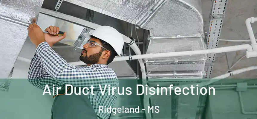 Air Duct Virus Disinfection Ridgeland - MS