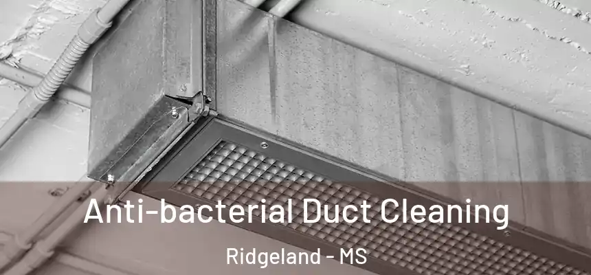  Anti-bacterial Duct Cleaning Ridgeland - MS