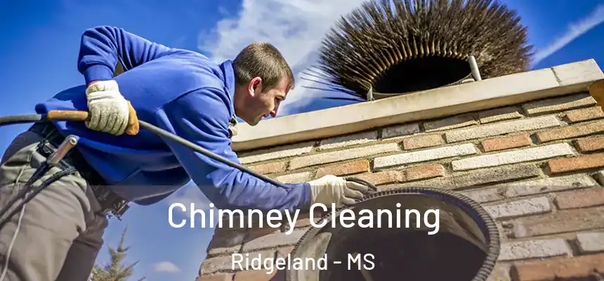 Chimney Cleaning Ridgeland - MS