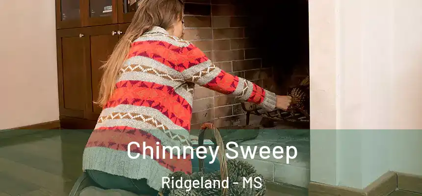  Chimney Sweep Ridgeland - MS