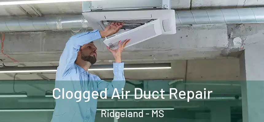 Clogged Air Duct Repair Ridgeland - MS