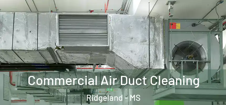 Commercial Air Duct Cleaning Ridgeland - MS