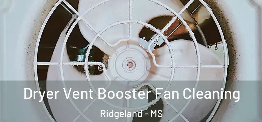 Dryer Vent Booster Fan Cleaning Ridgeland - MS