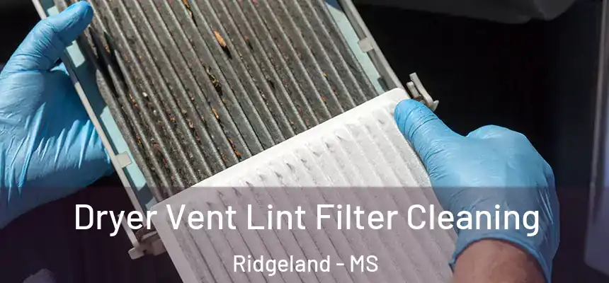  Dryer Vent Lint Filter Cleaning Ridgeland - MS