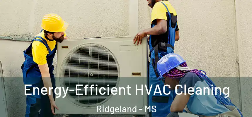  Energy-Efficient HVAC Cleaning Ridgeland - MS