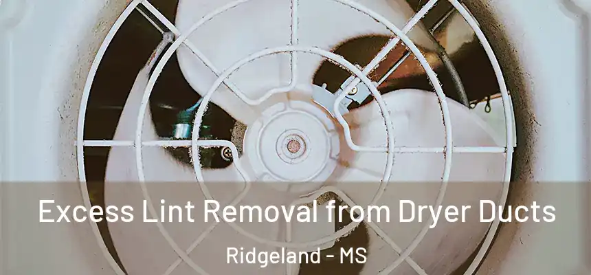 Excess Lint Removal from Dryer Ducts Ridgeland - MS