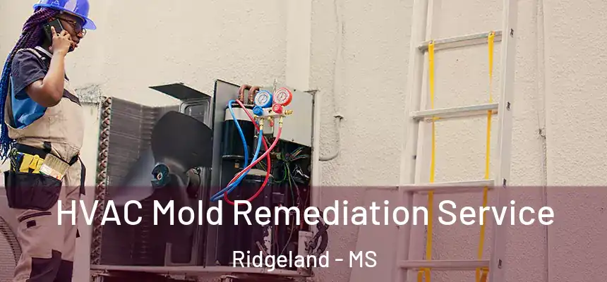 HVAC Mold Remediation Service Ridgeland - MS
