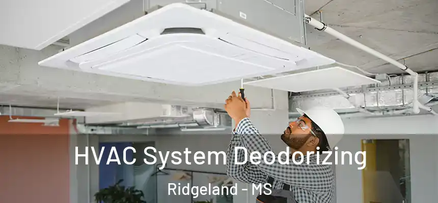 HVAC System Deodorizing Ridgeland - MS