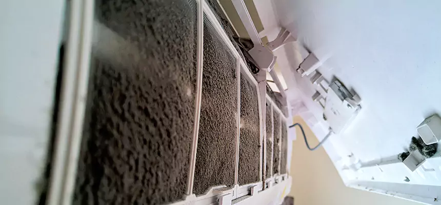 Preventive Air Duct Bacteria Removal in Ridgeland