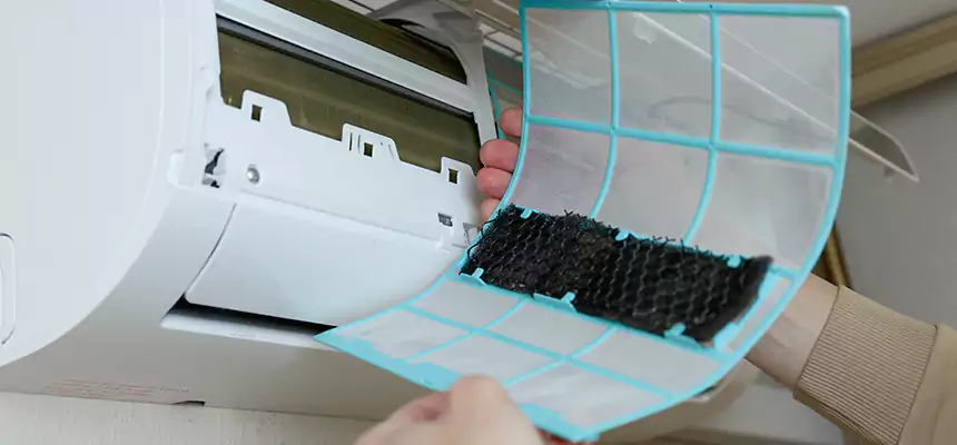 Gentle Ductwork Odor-Control Pet Dander Duct Cleaning in Ridgeland, MS