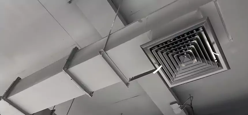 Our Rodent Droppings In Vents Services in Ridgeland, MS