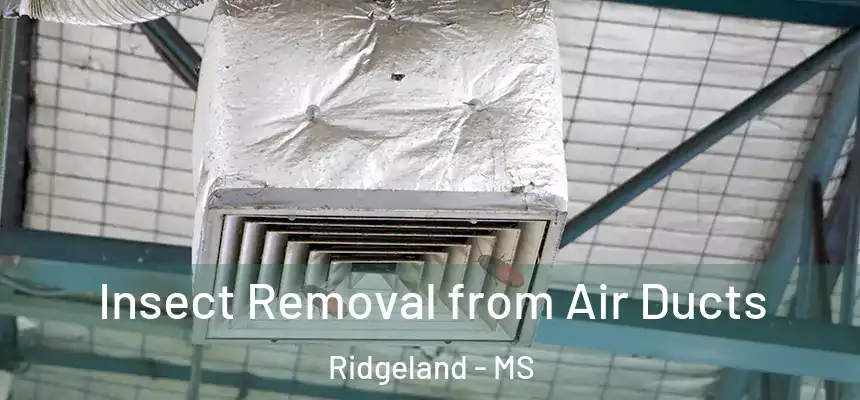 Insect Removal from Air Ducts Ridgeland - MS