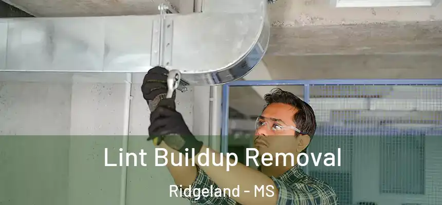  Lint Buildup Removal Ridgeland - MS
