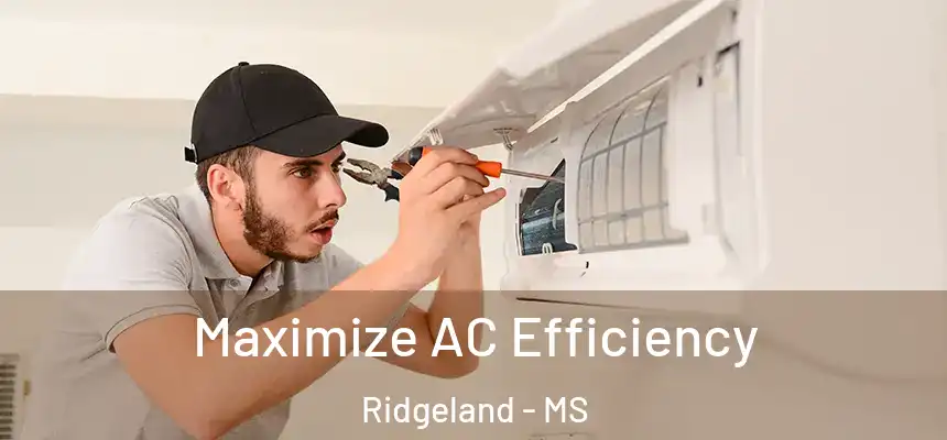 Maximize AC Efficiency Ridgeland - MS