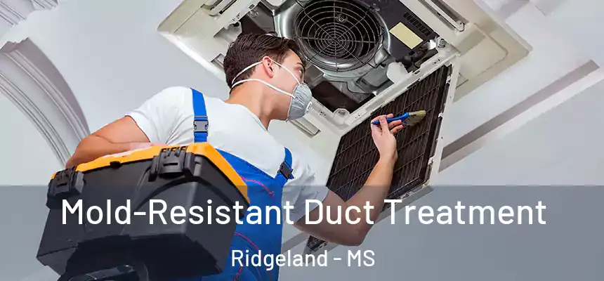  Mold-Resistant Duct Treatment Ridgeland - MS