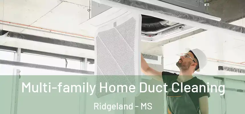 Multi-family Home Duct Cleaning Ridgeland - MS