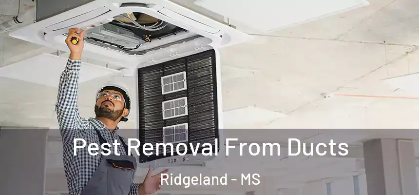  Pest Removal From Ducts Ridgeland - MS