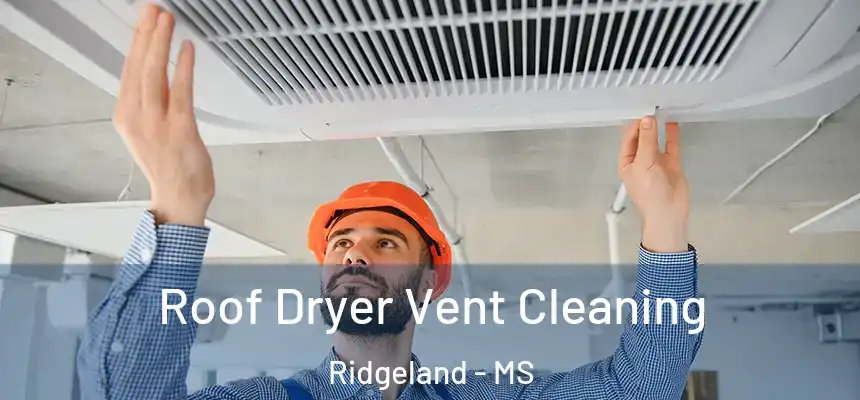 Roof Dryer Vent Cleaning Ridgeland - MS