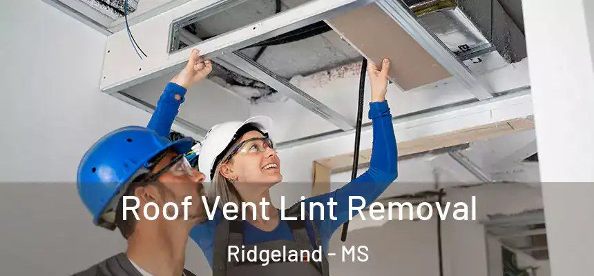 Roof Vent Lint Removal Ridgeland - MS