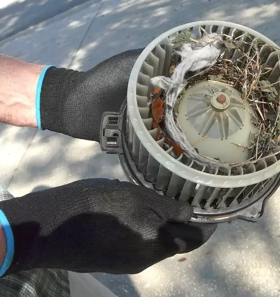 About Air Duct Rat Removal in Ridgeland, MS