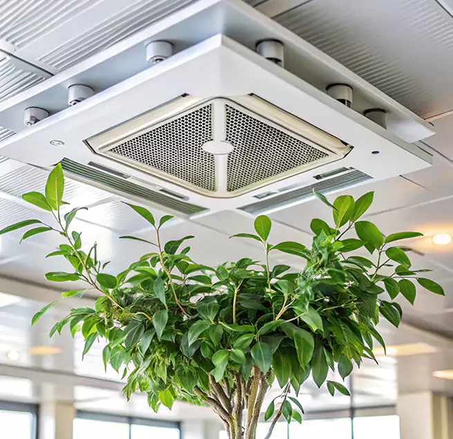 Why Homeowners & Businesses Trust Us in Ridgeland, MS