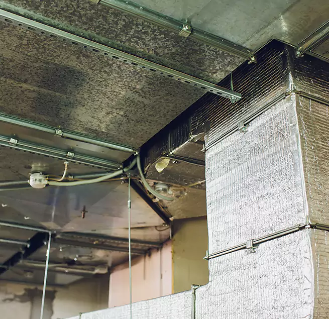 Why Homeowners & Businesses Trust Us in Ridgeland, MS?