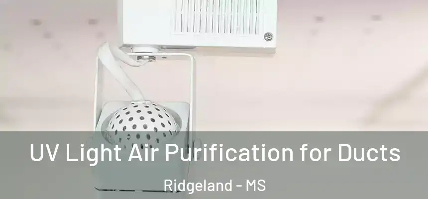 UV Light Air Purification for Ducts Ridgeland - MS