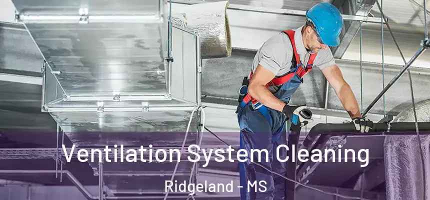 Ventilation System Cleaning Ridgeland - MS